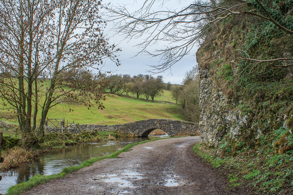 Bradford Dale Bradford Dale